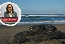 Derrame de hidrocarburo en costas de Veracruz habría sido causado por barco privado: Nahle