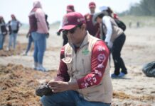 Refuerzan limpieza de Playa Chalchihuecan rumbo a Semana Santa