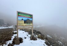 Llaman a extremar precauciones por nevada en el Cofre de Perote