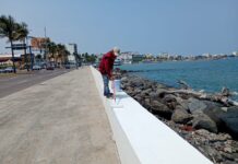 Embellece Ayuntamiento de Veracruz el bulevar Ávila Camacho