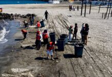 Refuerza ciudad de Veracruz limpieza en playas previo a Semana Santa