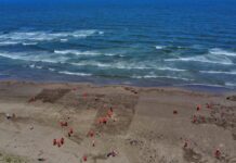 Gobierno de México refuerza acciones integrales ante presencia de hidrocarburos en costas del Golfo de México