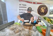 Xalapa apuesta por el sabor: Festival del Taco busca duplicar derrama y ganar protagonismo