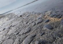 Chapapote invade playas de Veracruz; pobladores limpian sin apoyo y sin saber qué hacer con los residuos