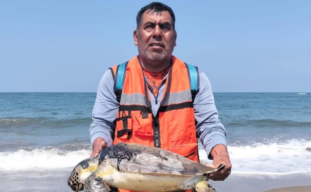 MC exige reparación ambiental e indemnización para afectados por derrame de chapopote en Veracruz MC exige reparación ambiental e indemnización para afectados por derrame de chapopote en Veracruz