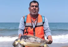 MC exige reparación ambiental e indemnización para afectados por derrame de chapopote en Veracruz