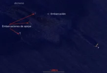 Denuncian ONG que Pemex y autoridades ocultaron derrame que ya afecta costas de Veracruz y Tabasco