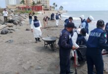 Más de 2 mil 400 elementos trabajan para limpiar hidrocarburos en costas de Veracruz y Tabasco