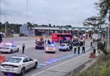 Tragedia en autopista: policías se confunden y matan a doctora en en la autopista México–Tuxpan