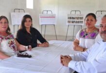 Lanzan “Huasteco”, nuevo sistema de transporte para Poza Rica y Coatzintla