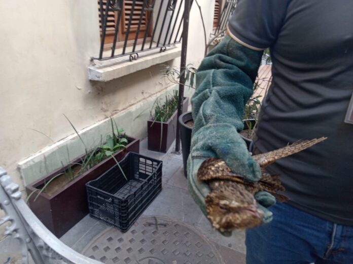 WhatsApp Image 2026-04-27 at 18.03.09 (1)