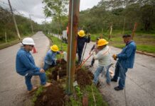 Personal de Alumbrado Público trabaja en restablecer luminarias en el fraccionamiento Las Fuentes