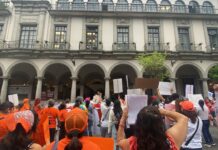 Colectivos animalistas protestan en Xalapa por presunto abandono del bienestar animal