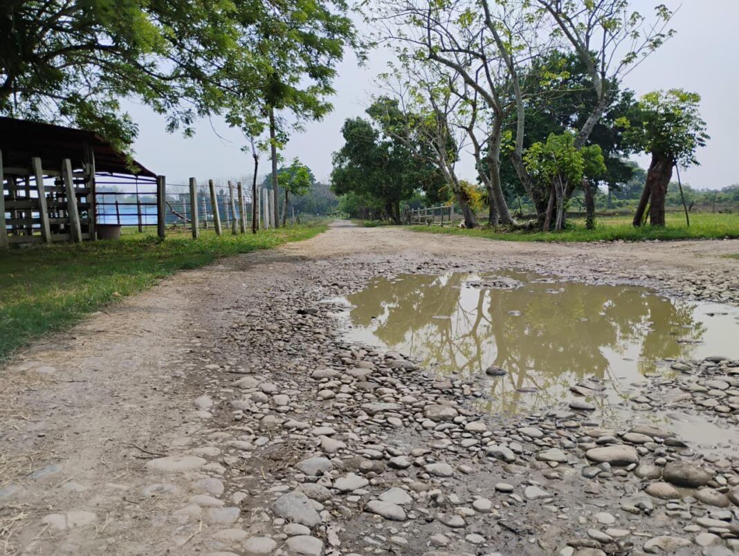 Campesinos de Misantla, Nautla y San Rafael reclaman apoyo para reparar caminos sacacosechas Campesinos de Misantla, Nautla y San Rafael reclaman apoyo para reparar caminos sacacosechas