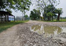 Campesinos de Misantla, Nautla y San Rafael reclaman apoyo para reparar caminos sacacosechas