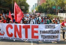 CNTE Veracruz irá a marcha nacional; maestros exigen aumento salarial del 100%