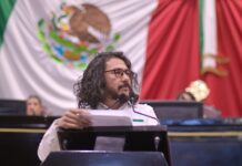 “La crueldad ya no tiene lugar”, diputados del PVEM impulsan reforma histórica en favor de animales