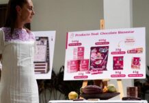 Presidenta anuncia proyecto “Precio justo para el cacao de Tabasco”; impulsará producción y exportación de Chocolate Bienestar