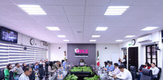 «Nuevos» partidos locales en Veracruz recibirán más de 5 millones de pesos