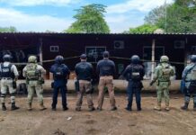Aseguran 108 armas, 50 granadas y 440 kilos de marihuana en operativo en Tierra Blanca