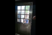 Comunicadora de Nanchital es privada de la libertad tras irrupción armada en su domicilio