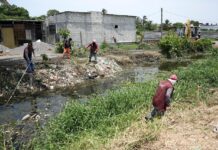 Intensifica Ayuntamiento de Veracruz trabajos de limpieza y desazolve ante temporada de lluvias