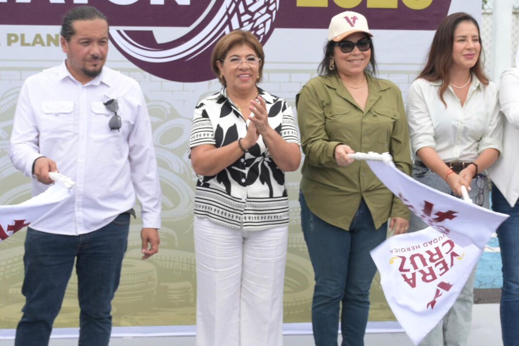 Refuerza Ayuntamiento de Veracruz el cuidado del medio ambiente y la salud pública Refuerza Ayuntamiento de Veracruz el cuidado del medio ambiente y la salud pública