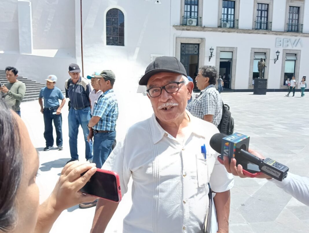 Productores de café exigen apoyos y alertan crisis en cafetales de Coatepec Productores de café exigen apoyos y alertan crisis en cafetales de Coatepec
