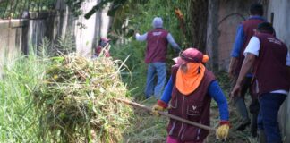 Interviene Ayuntamiento de Veracruz canales olvidados por años
