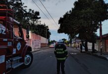 Atienden Bomberos municipales de Veracruz ataque de abejas; solicitan apoyo para localizar a familiares de un lesionado