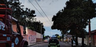 Atienden Bomberos municipales de Veracruz ataque de abejas; solicitan apoyo para localizar a familiares de un lesionado
