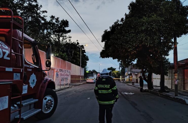 Atienden Bomberos municipales de Veracruz ataque de abejas; solicitan apoyo para localizar a familiares de un lesionado