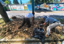 Ayuntamiento exhorta a reportar acumulación de basura y hojarasca para su atención oportuna