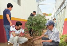 ISSSTE Veracruz se suma a la Jornada Nacional de Reforestación durante la 7ª edición del Tequio “Elena Arizmendi”