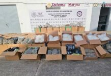 Detienen a conductor con casi 2 toneladas de droga escondidas entre dulces de coco