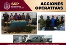 Detenidos 11 presuntos integrantes de células delictivas durante operativos coordinados