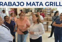 Rocío Nahle, trabajo mata grilla