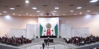 Endurece Congreso de Veracruz penas y sanciones por maltrato animal
