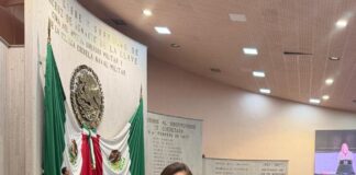 Diputada pide que se explique que ocurrió con la aseguradora estatal ante las inundaciones en Veracruz