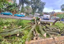 Mantiene Ayuntamiento vigilancia por evento de norte; se reportan incidentes menores