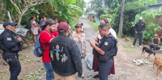 Atiende Ayuntamiento de Veracruz caso de agresión con arma de fuego a canino