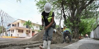 Avanza Ayuntamiento de Veracruz con obras que atienden rezago de varias décadas en infraestructura vial de la avenida Victoria