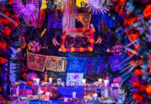Inicia Ayuntamiento celebraciones del Día de Muertos; con Altar totonaca se recuerda a Melchor Peredo