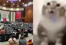 Diputados aprueban la llamada Ley Antimemes; prevé hasta cinco años de prisión por uso ilícito de símbolos oficiales