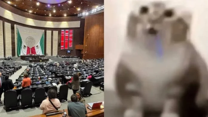 diputados-aprueban-en-lo-general-la-ley-antimemes-y-desatan-debate-por-la-libertad-de-expresion-c96ea627-focus-0-0-1280-720