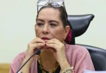 Cámara de Diputados recibe renuncia de Guadalupe Taddei al INE