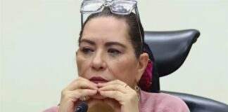 Cámara de Diputados recibe renuncia de Guadalupe Taddei al INE