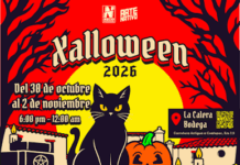 Xalloween 2026 llegará a Xalapa con cine de terror, calabazas y boletos desde 80 pesos
